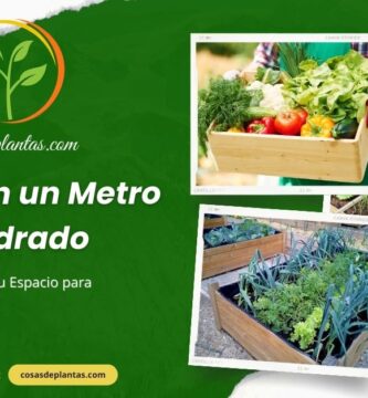 Huerto en un Metro Cuadrado: Cómo Maximizar tu Espacio para Cultivar Alimentos