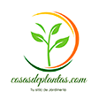 cosasdeplantas.com