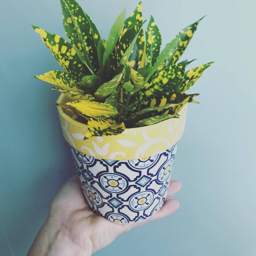 Eleanor Roosevelt Croton